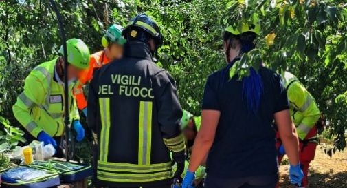 Tragedia nel giardino: schiacciato dal tronco durante i lavori in cortile