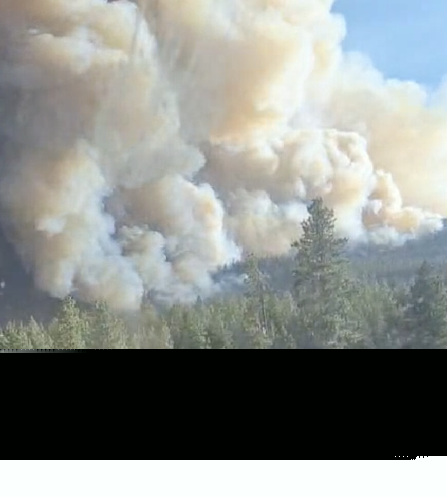 Horse trainer recounts desperate evacuation through flames during Bald Range wildfire (Summerland)