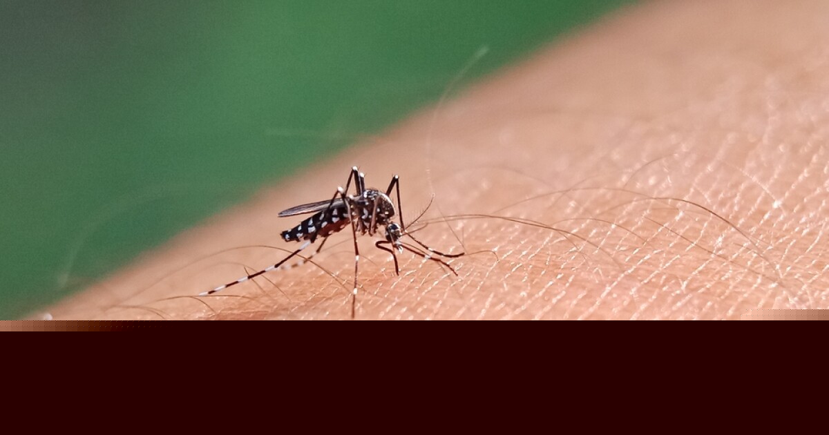 West Nile virus detected in mosquitoes east of Twin Falls