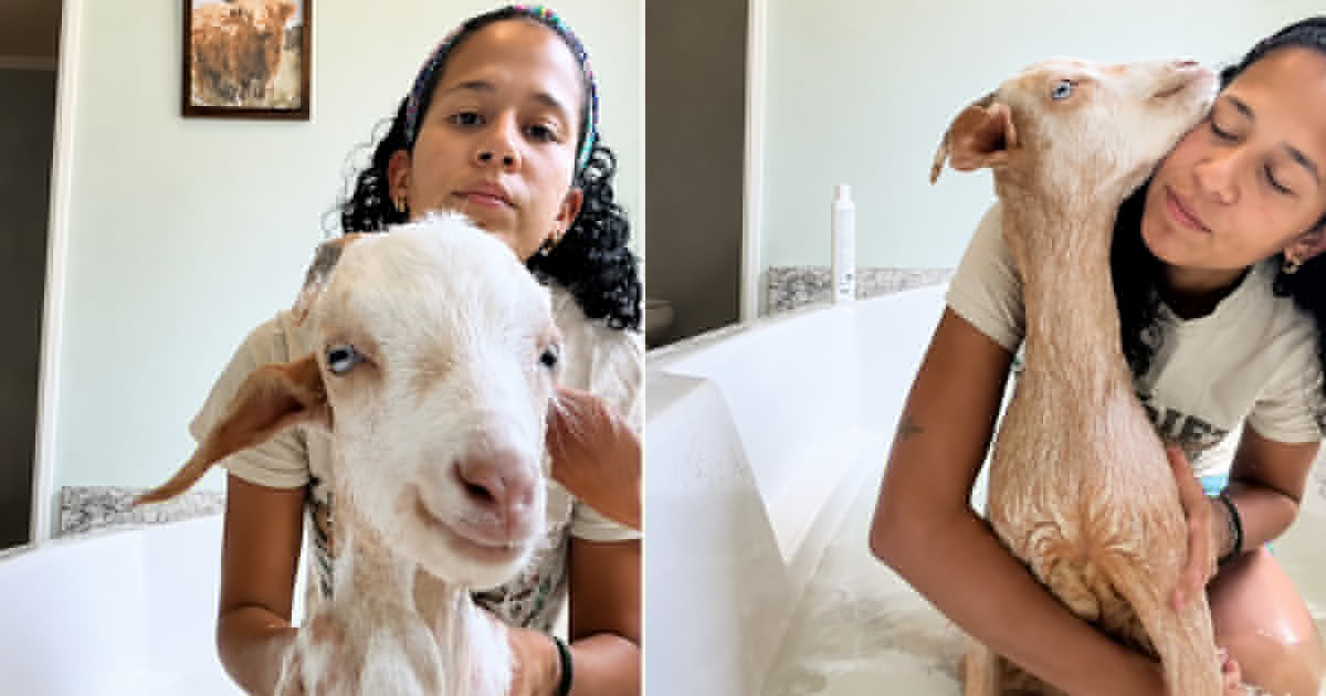 Cuban Woman Goes Viral for Caring for Disabled Goat: "A Dog Isn't Worth More"