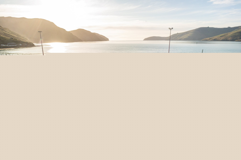 DP World locked out of Lyttelton after CCHL rejection and hits back with 'governance' concerns