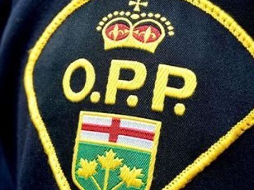 Police seize illegal drugs, stolen vehicles in Arran-Elderslie