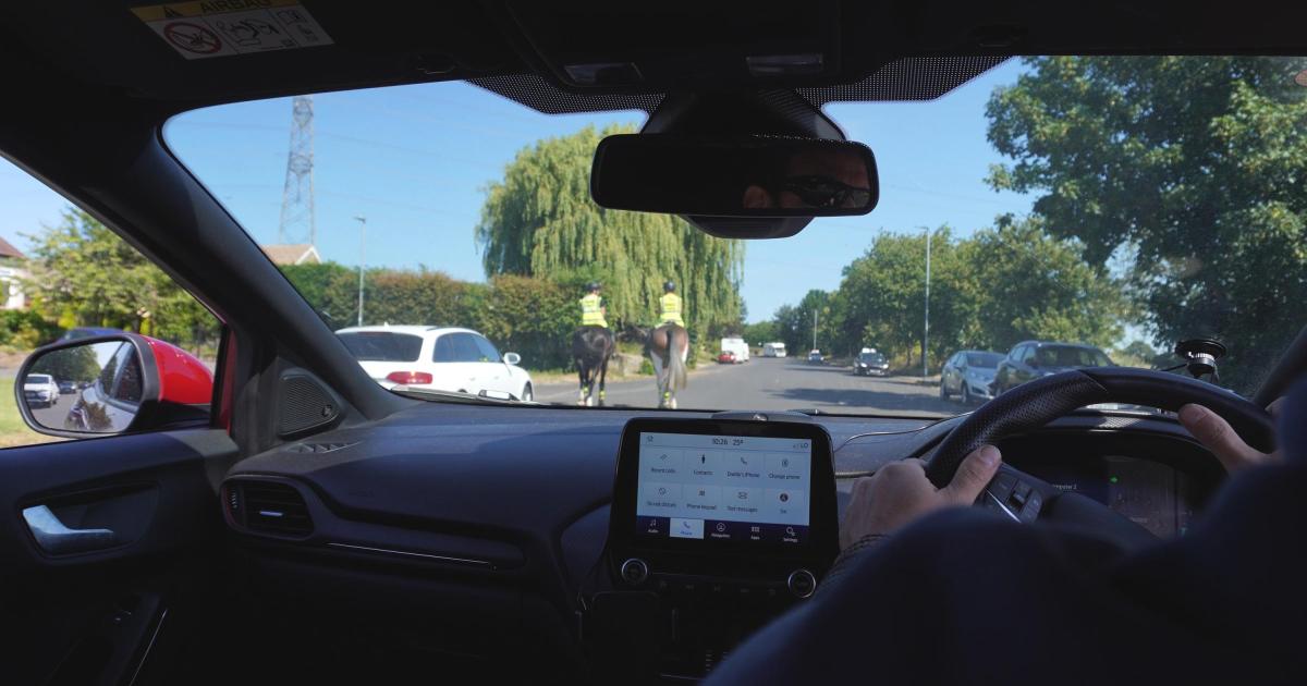 Drivers warned after horses injured and killed in road incidents