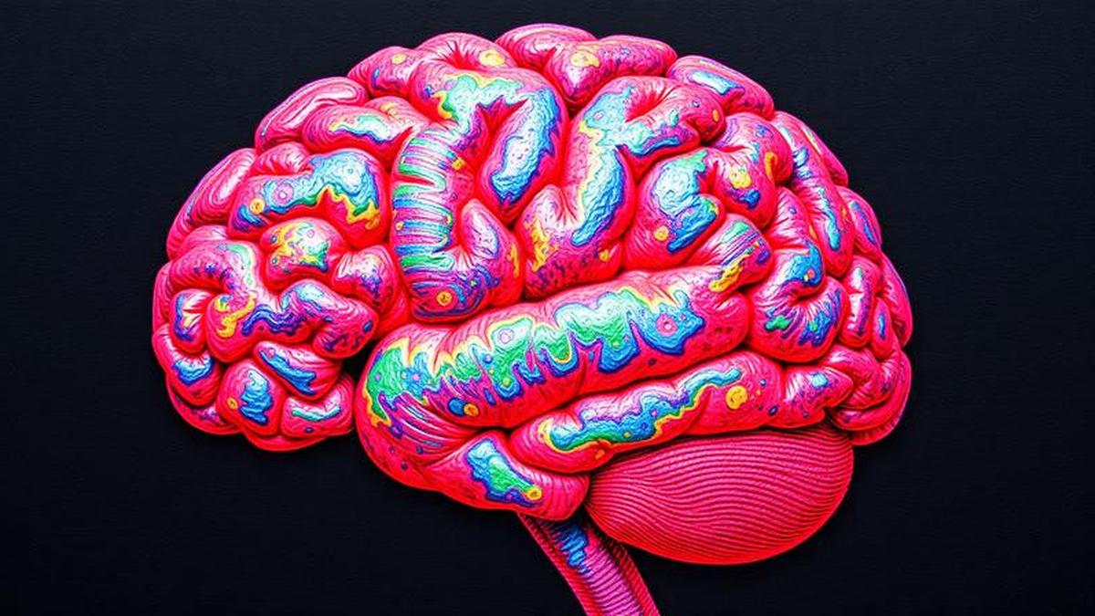 Dukung Pendidikan Anak Disabilitas, Ketahui Faktor-Faktor yang Dukung Kepintaran si Kecil