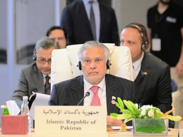 FM Dar calls for 'unity and resolve' among Islamic countries to protect Al-Aqsa mosque amid Israeli incursions