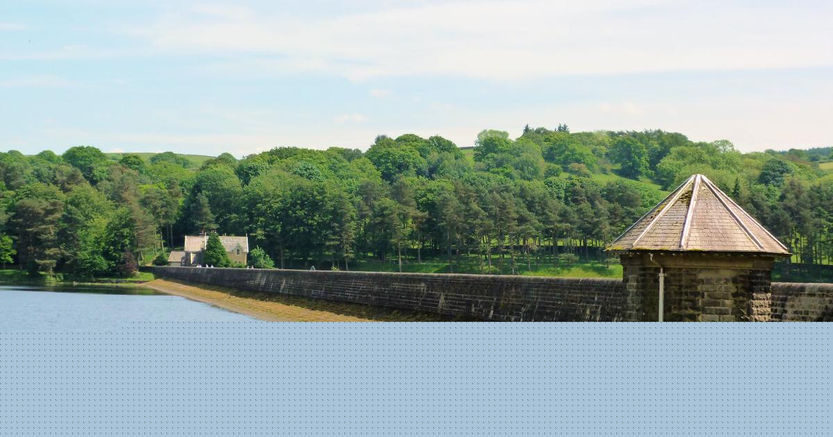 Wildlife and woodland on walk around Fewston and Swinsty reservoirs