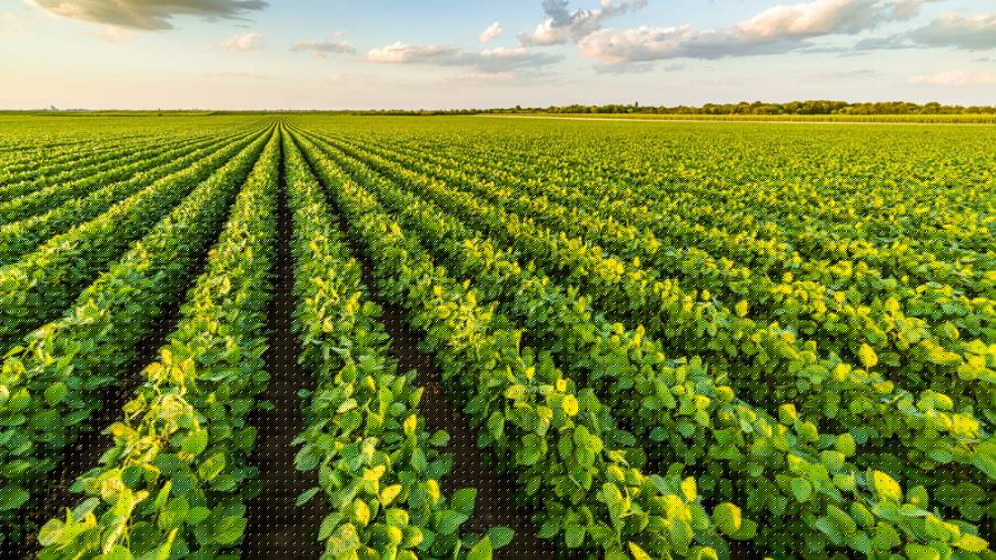 Corteva to Bring Enclosa Herbicide to U.S. Soybean Farmers