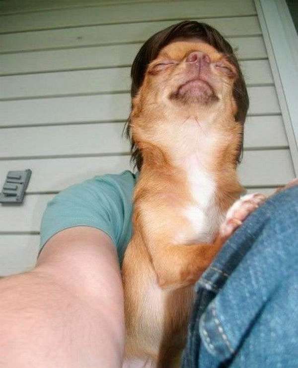Perfectly Timed Photos - Just chilling