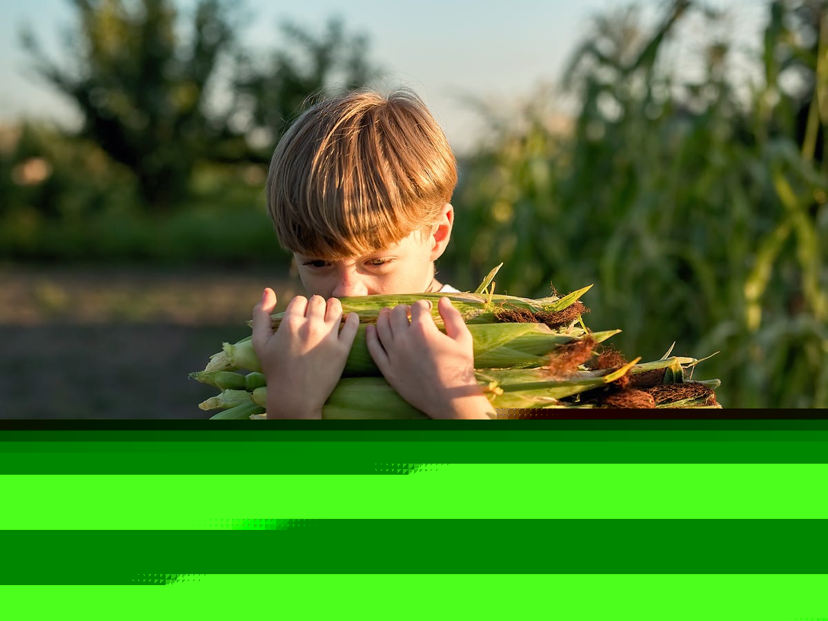 10 Creative Ways to Use Up Extra Corn This Summer