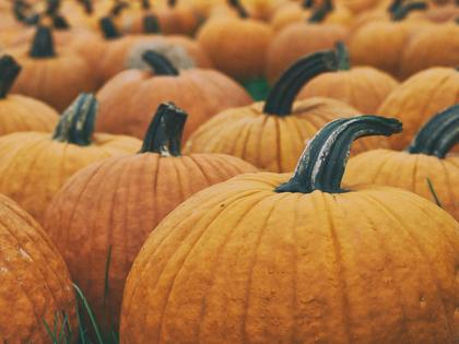 Go Punkin’ Crazy in Floydada, the Pumpkin Capital of the U.S.