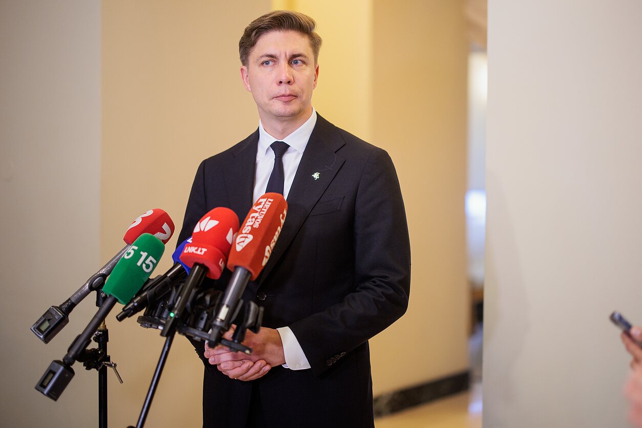 M. Sinkevičius: jei mūsų dangus nesaugus, apie ką mes čia galime kalbėti?