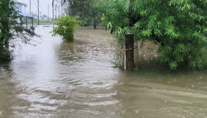 Bhopal Heavy Rain: Upper Lake Level Rises, Roads Waterlogged