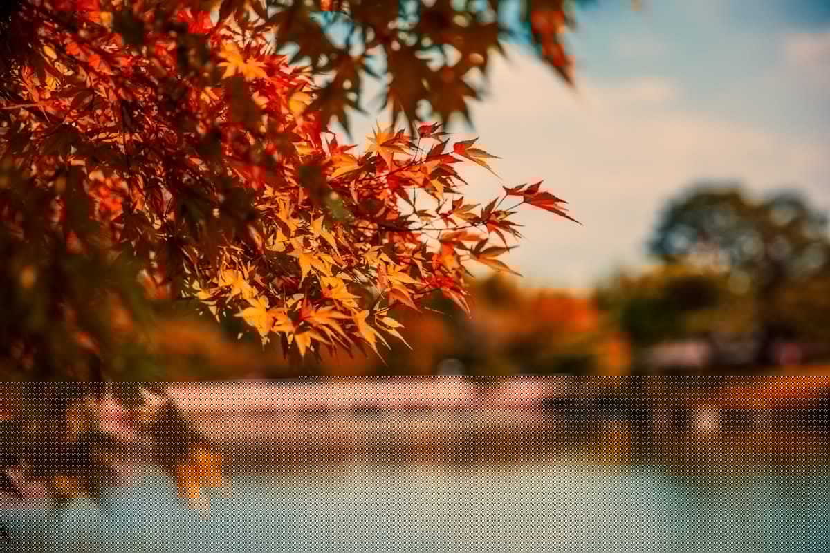 The Best Place to See Fall Foliage in America Is Right Here in NY