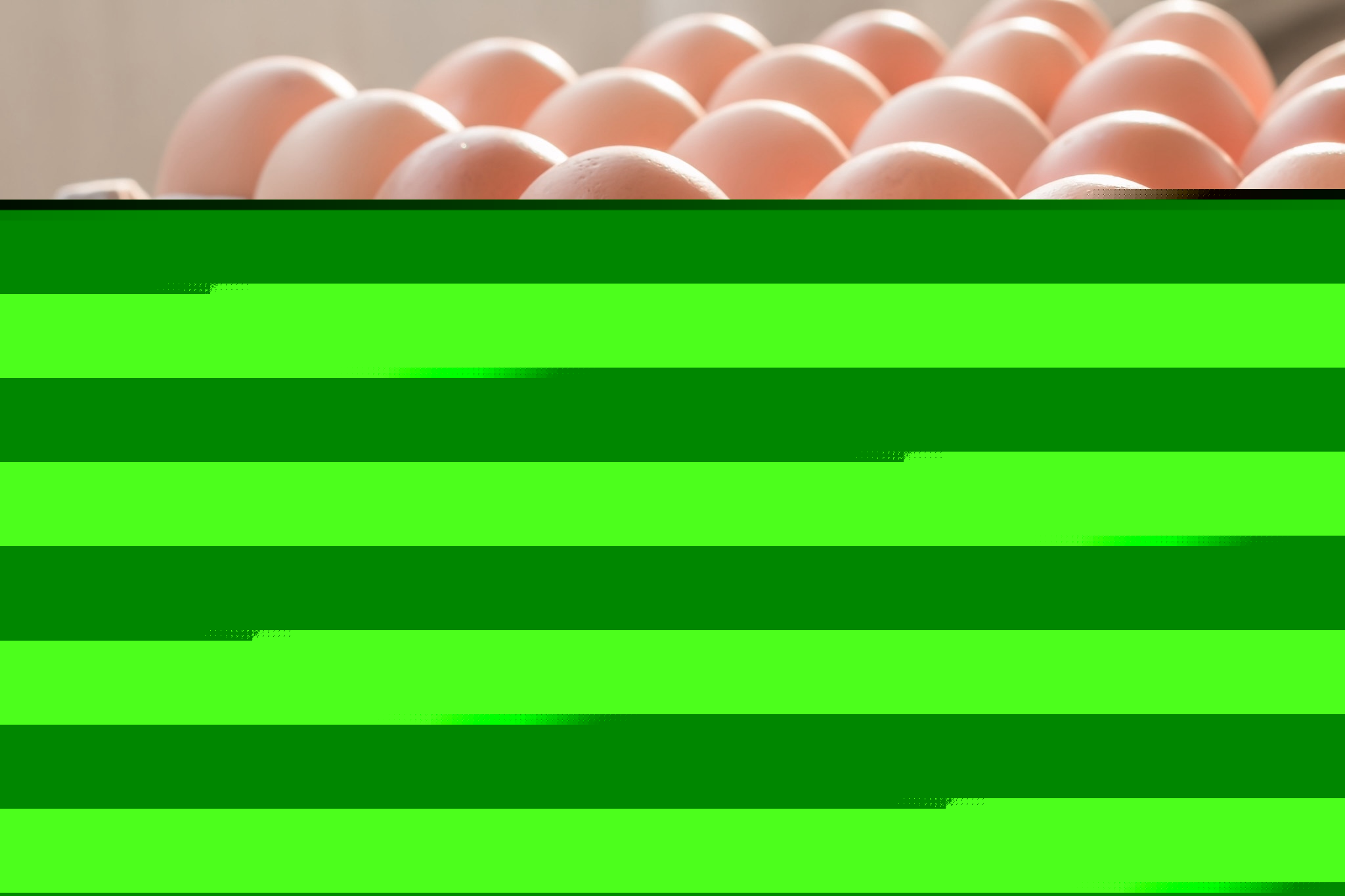 South Korea targets US eggs under government import scheme