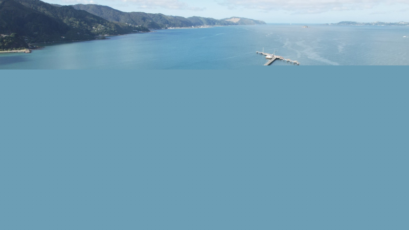 Sponsored: Z’s Seaview upgrade boosts resilience