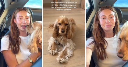 ‘She’s my child’: Groomers responds after influencer has meltdown over dog’s haircut