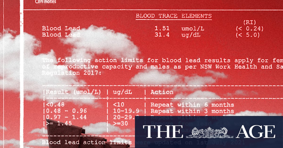 Mines blocked health warnings to workers with toxic blood lead levels