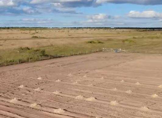 Jet Zero commences Pongamia trial to boost SAF production