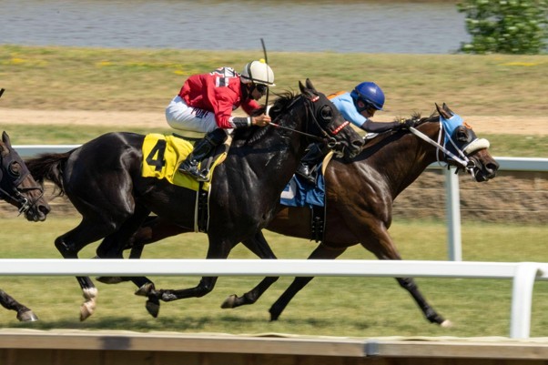 What Bettors Should Look for When Reviewing Horse Racing Track Results