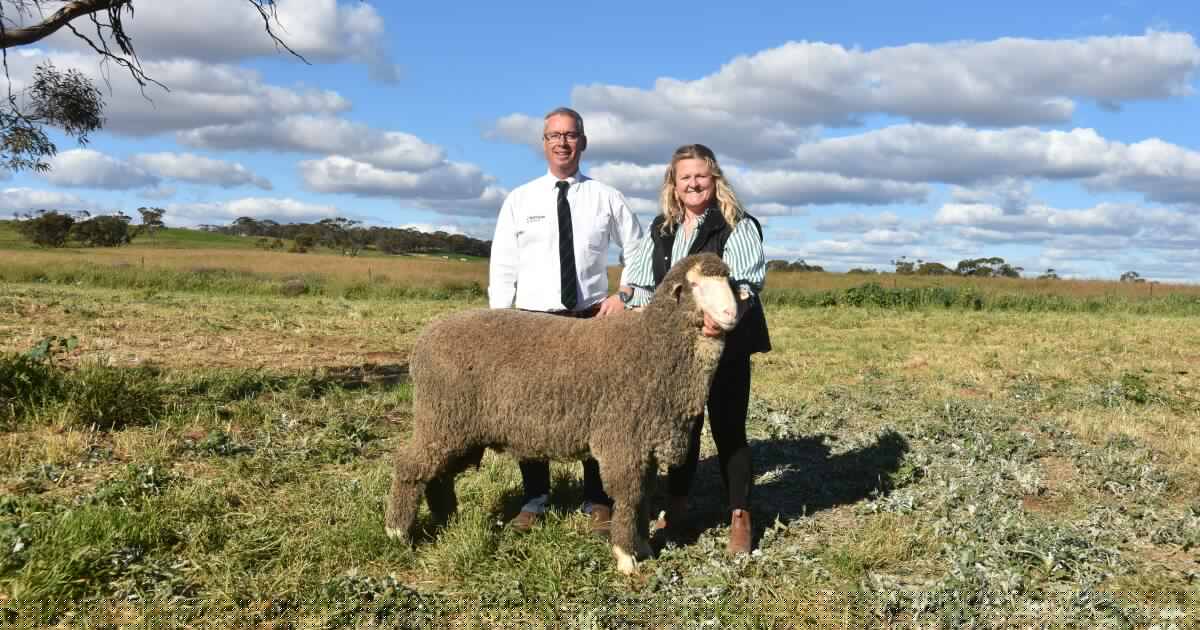 Bidding from four states helps underpin outstanding result at Kamora Park