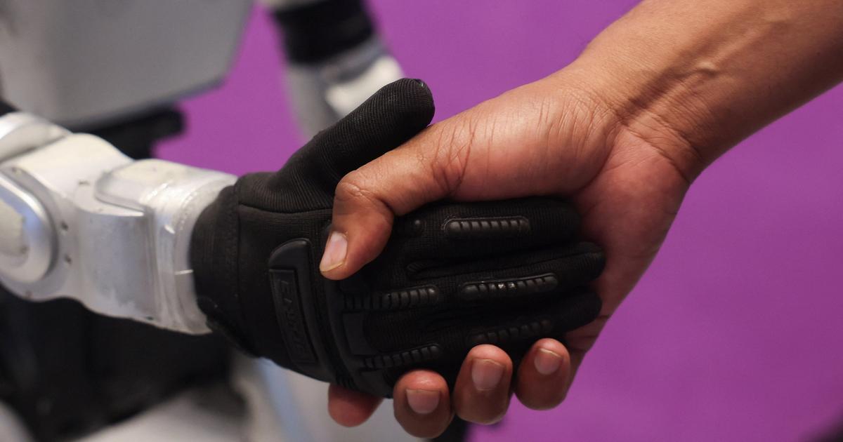US bans import of new Chinese robots
