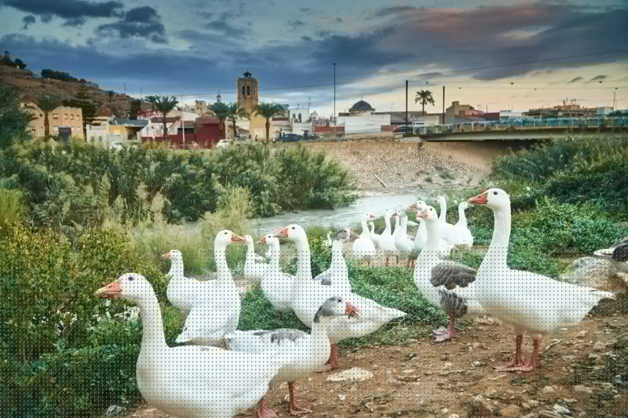 Orihuela secures €3.3 million for River Segura restoration project