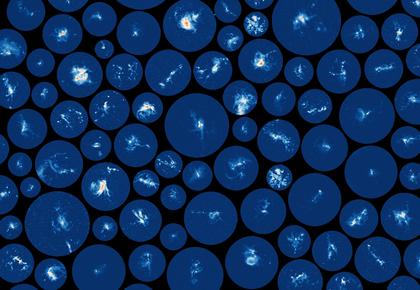 Observing a thousand stellar factories to uncover the origin of stars