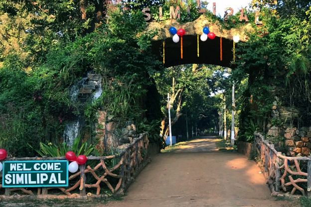 Odisha’s Similipal National Park To Remain Shut For 3 Days For President Droupadi Murmu’s Visit