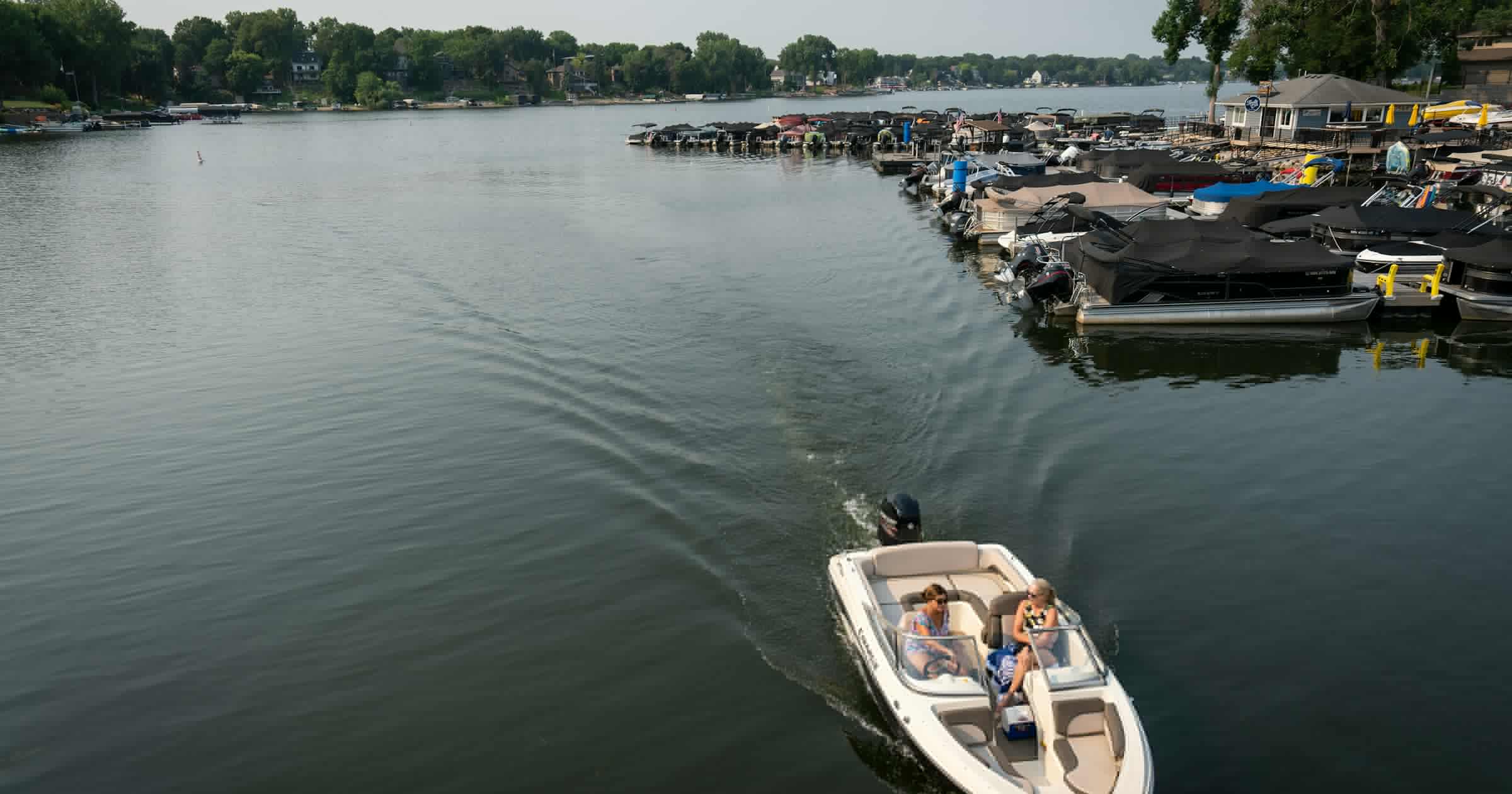 The 100,000-pound carp cleanup that revived an urban lake
