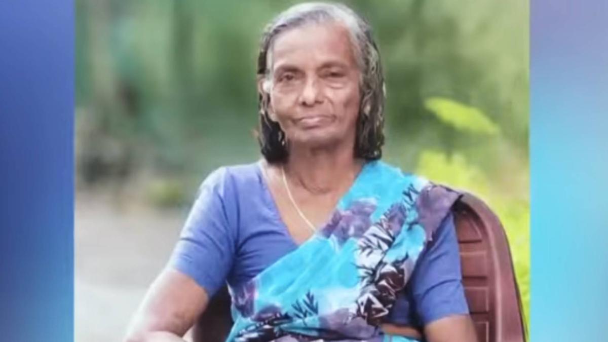 Pothole turns death trap for Alappuzha woman, succumbs to head injuries after scooter fall