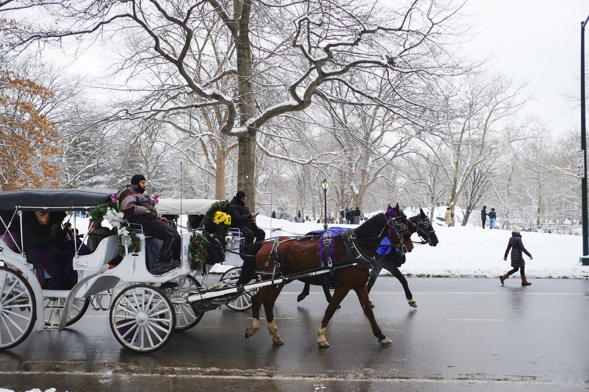 New York Is One of the Best Places for a Winter Staycation