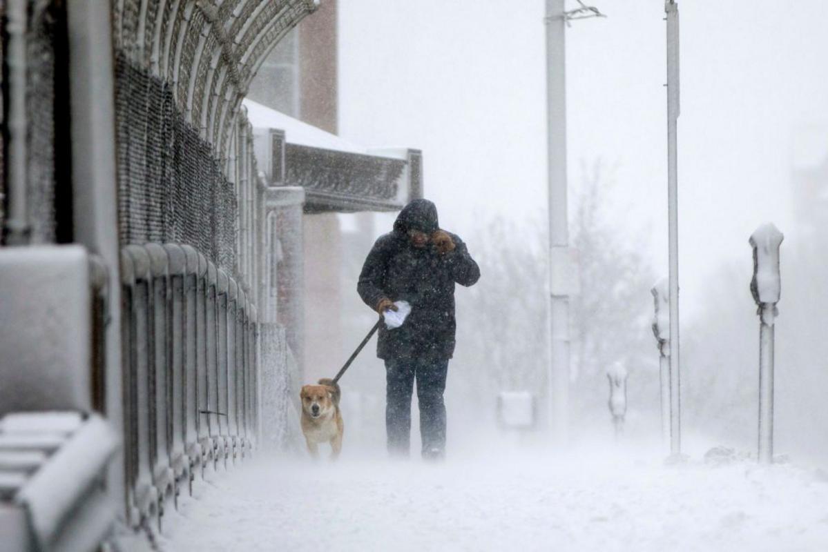 One Of The Worst Cities For Pets AND Pet Owners Is In Mass.