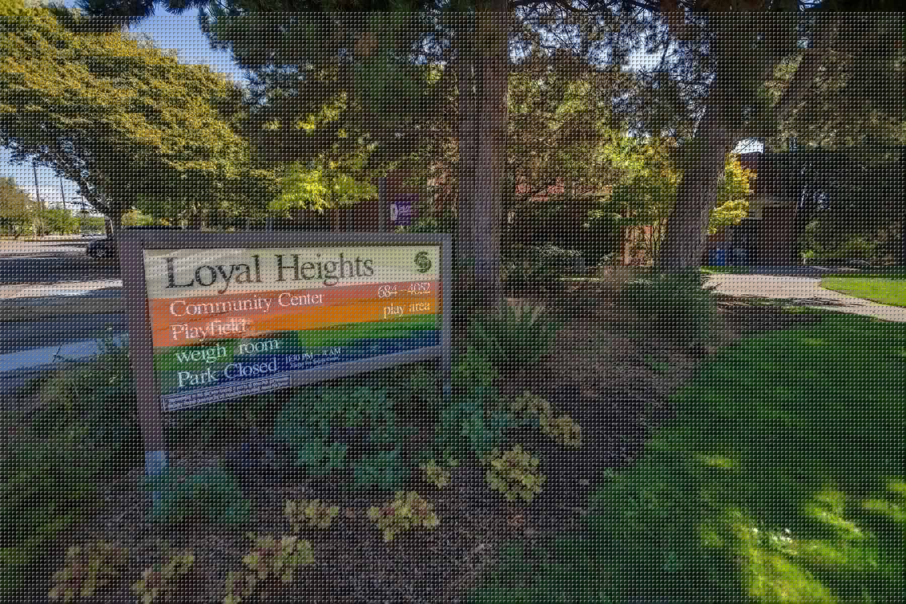 Tasty Tunes returns to Loyal Heights Community Center Aug. 8