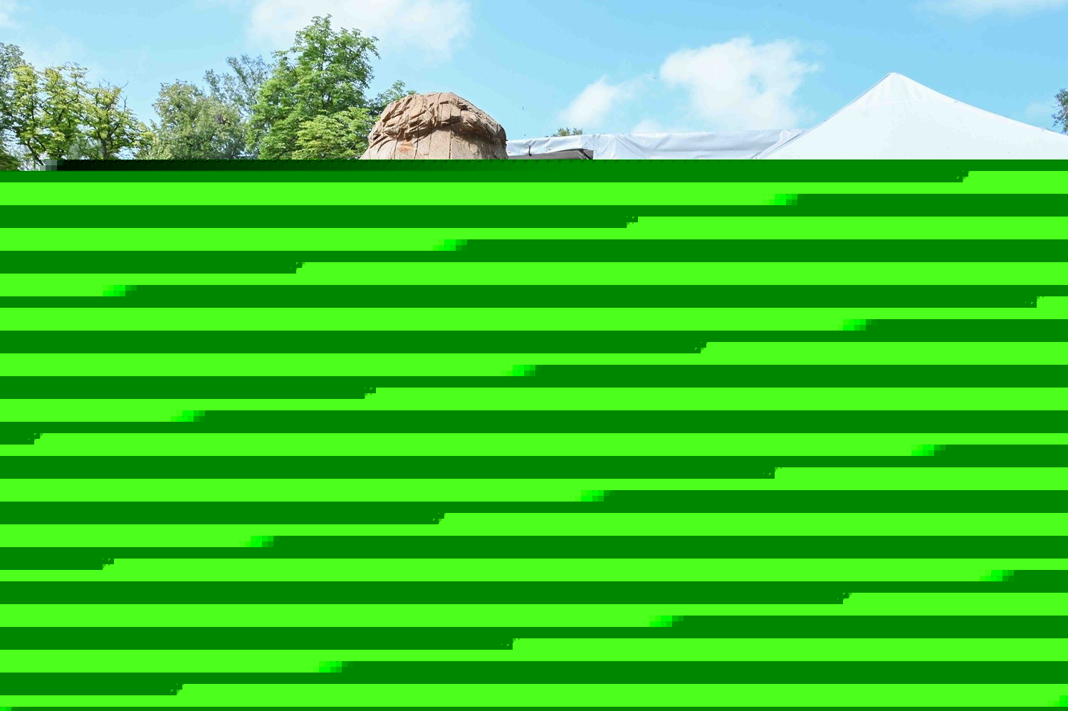 V Praze 8 ožily múzy: Řezbáři proměnili dubové kmeny v umělecká díla (video)