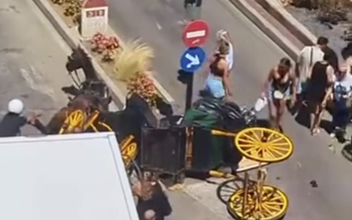 Comment on Horse-drawn carriage overturns in busy Fuengirola square after horse bolts, leaving two women injured by Dirk