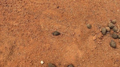 Troops join outback search for boy after footprint clue