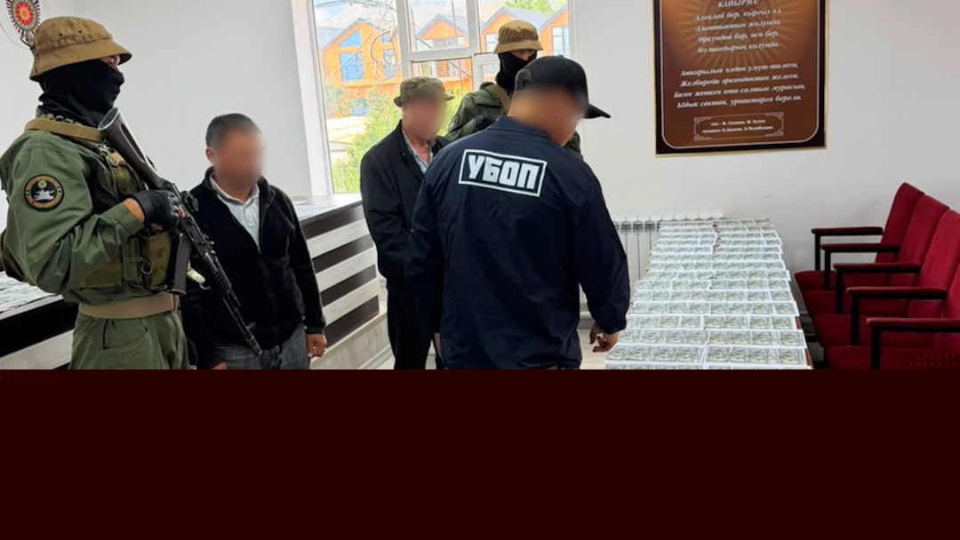 Инженера лесхоза и&nbsp;члена ОПГ задержали по&nbsp;подозрению в&nbsp;вымогательстве $30 тысяч