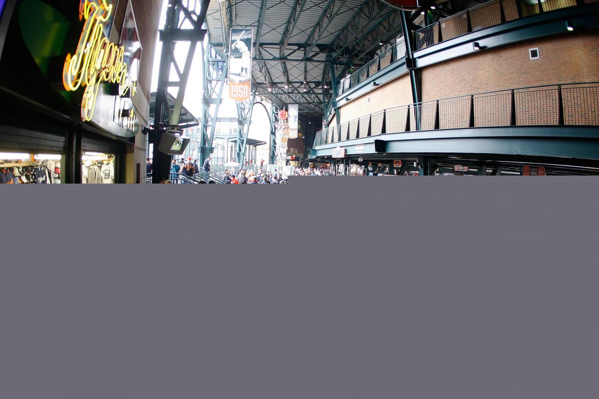 Detroit Tigers Fans Reveal Their Game Day Beer and Hot Dog Habits