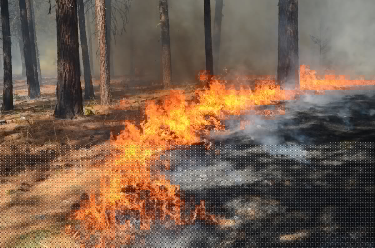 Spokane mayor: ‘Could be weeks’ before people can return home after fires