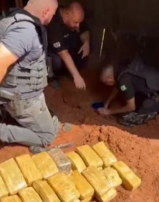 Polícia Civil apreende mais de 50 kg de maconha escondidos em galinheiro no interior de SP