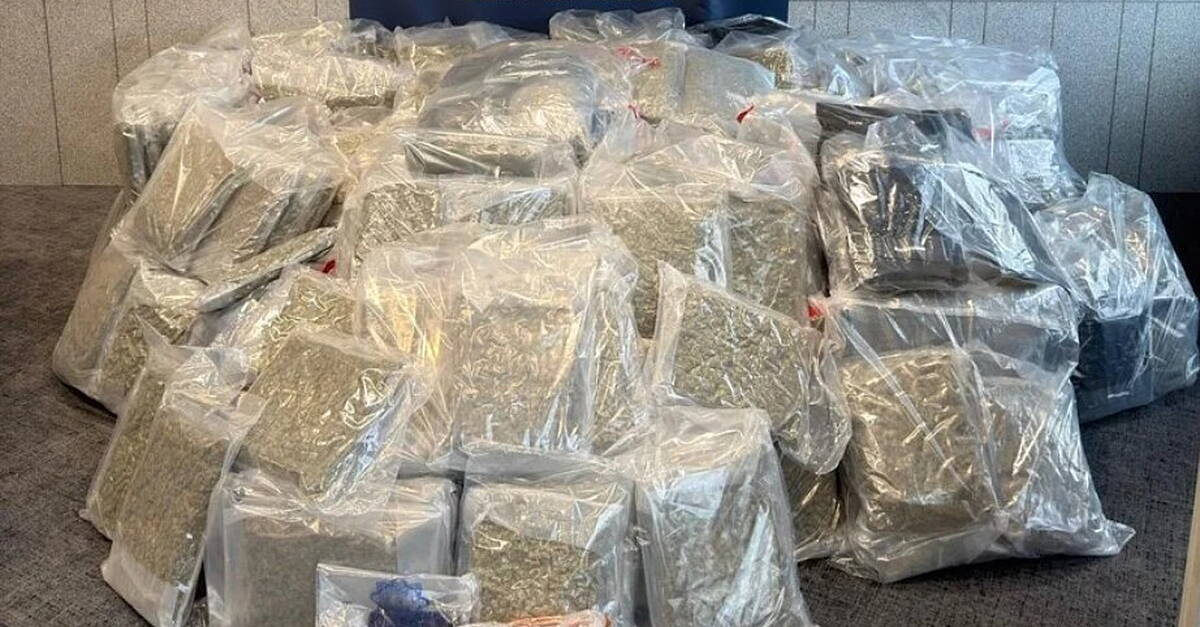 Two men arrested after €8.5 million worth of drugs seized in Meath and Louth