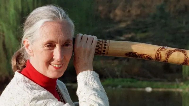 ‘An extraordinary legacy’: Tributes after chimpanzee expert Jane Goodall dies aged 91