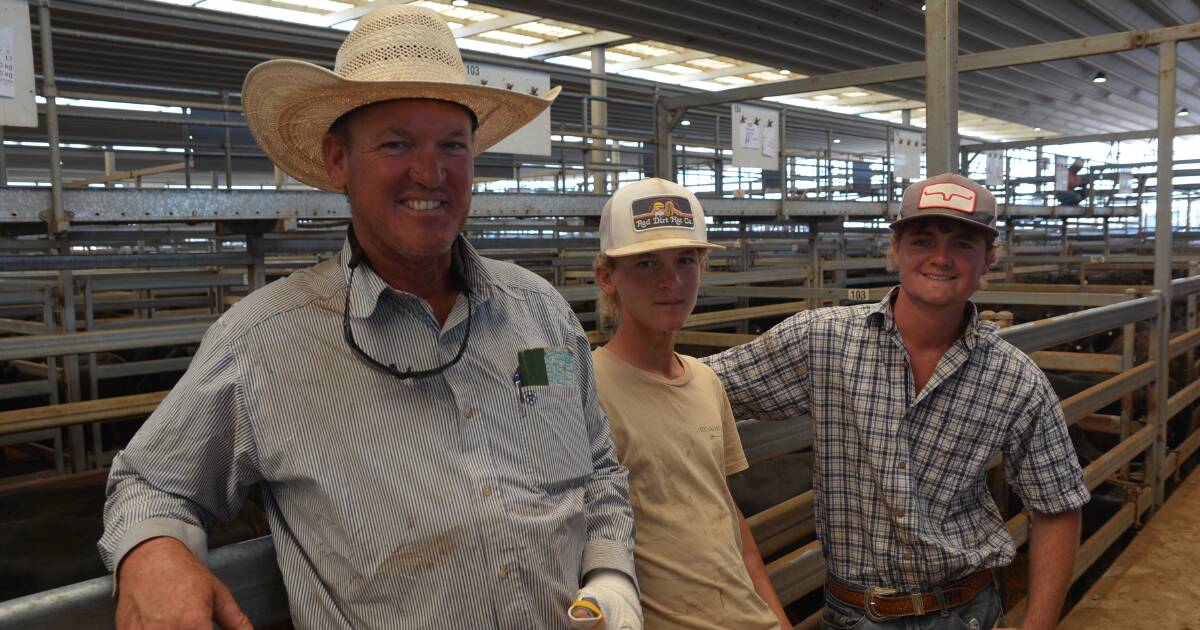 EU lines spark bidding demand at rock solid Elders Tamworth feature sale