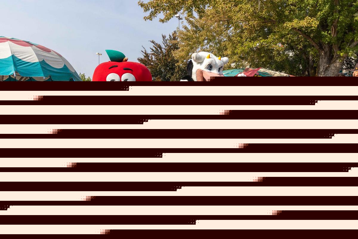 6 New Things At This Years Fair