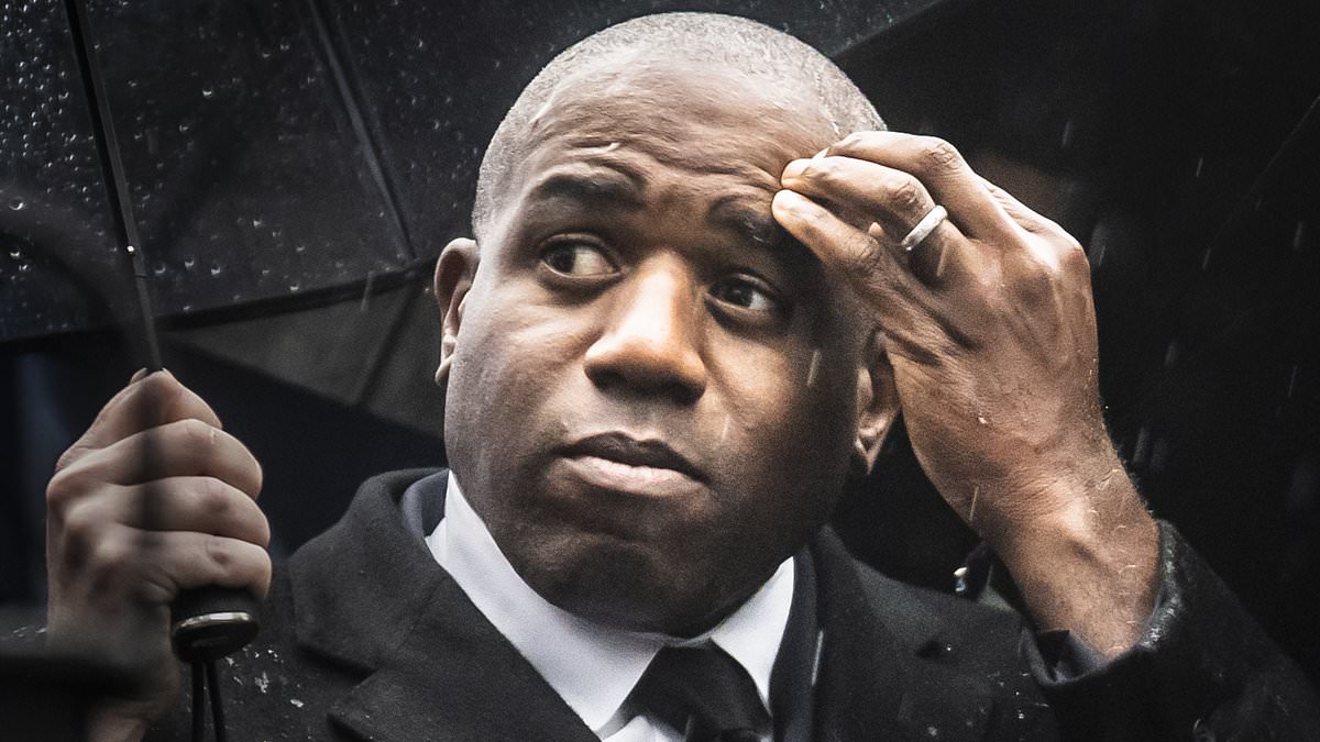 David Lammy told he has blood on his hands from furious hecklers amid outrage over massive 'hate march' in London today