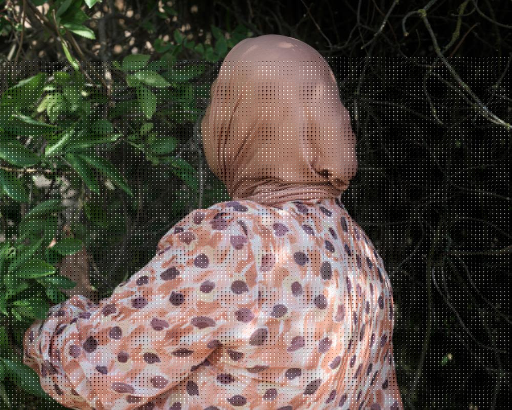 ‘Why are you doing this to me?’: how one woman survived two years of slavery on a Spanish farm