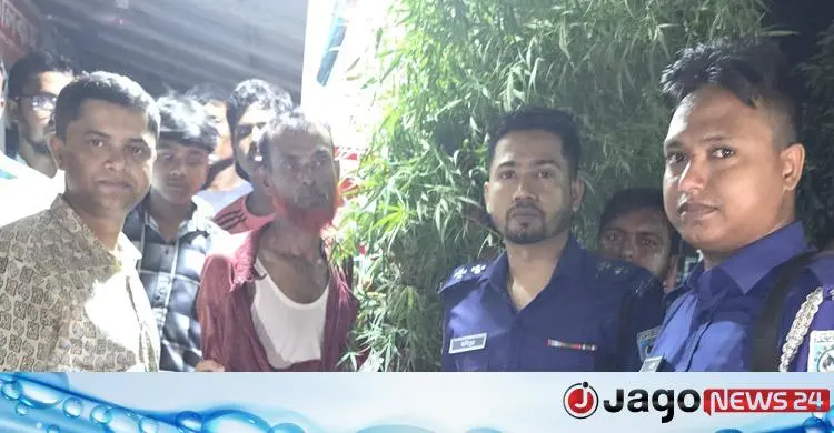 ধরতে গিয়ে গাঁজাসেবীর কামড়ে আহত দুই যুবক