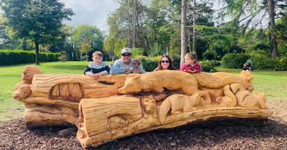 Beloved 140-year-old Frome tree transformed after being felled