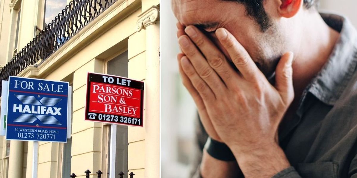 The Government urgently needs to inject optimism into the property market, says expert