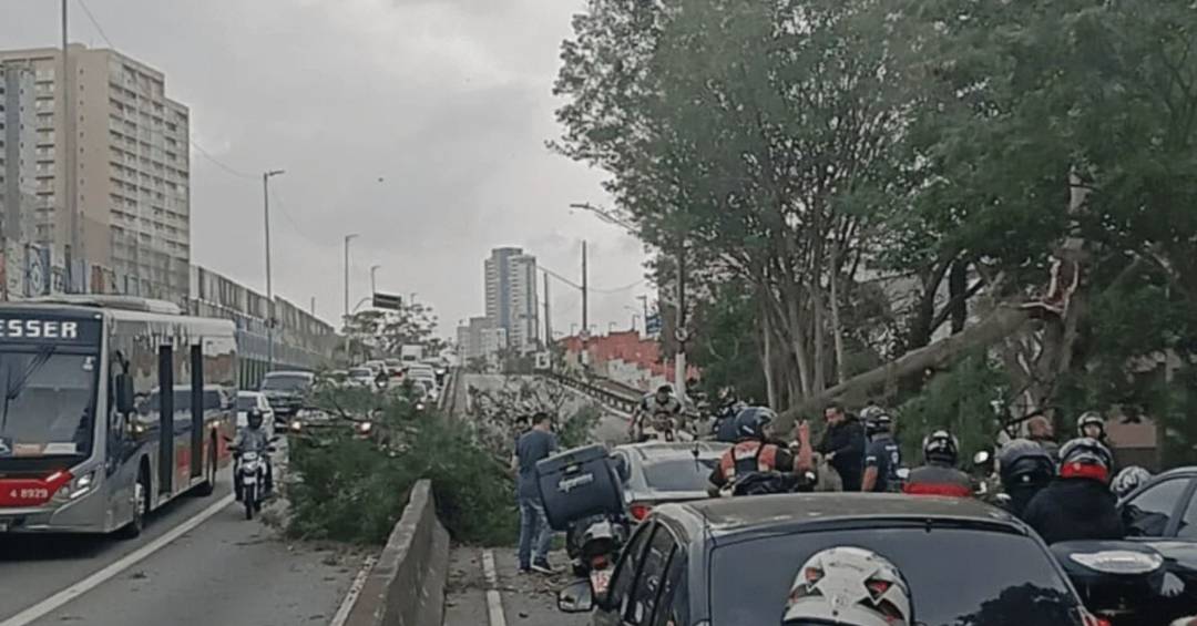 Ao menos três pessoas morrem em São Paulo após rajadas de ventos de até 125 km/h